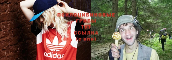 молекула духа Вяземский